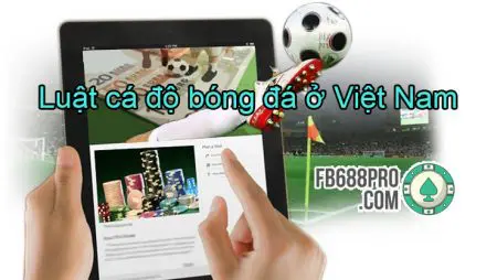 Luật cá độ bóng đá ở Việt Nam – Cập nhật mới nhất 2020