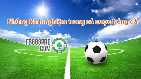 Những kinh nghiệm trong cá cược bóng đá hiệu quả nhất