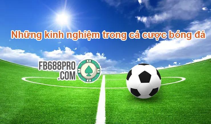 Những kinh nghiệm trong cá cược bóng đá hiệu quả nhất