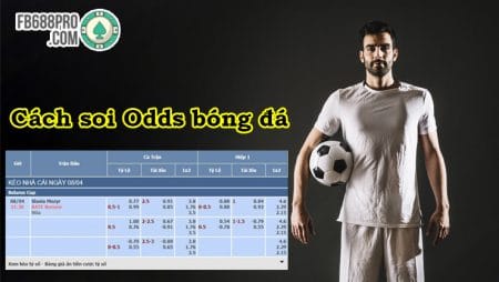 Soi Odds bóng đá là gì? Tìm hiểu cách soi Odds bóng đá để chọn kèo