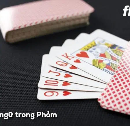 Thuật ngữ trong Phỏm cần nhớ kỹ để thu nhiều tiền lời