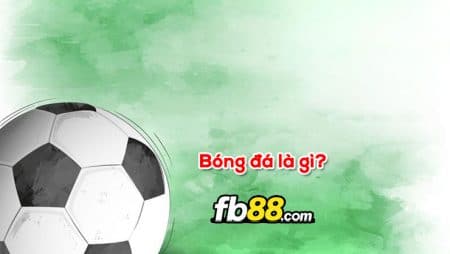 Bóng đá là gì? Nắm rõ những thống kê thú vị về môn bóng đá