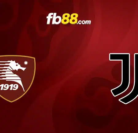 Soi kèo VN88 trận Salernitana vs Juventus, 02h45 – 08/02/2023