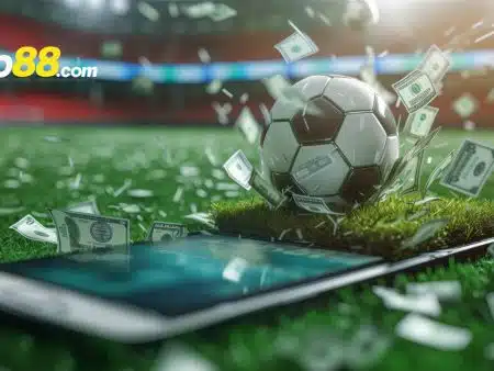 Kèo score box là gì? Cách dự đoán kèo Score Box chính xác