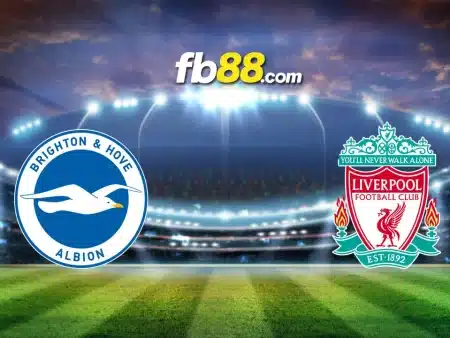 Soi kèo Brighton vs Liverpool, 02h30 ngày 31/10/2024