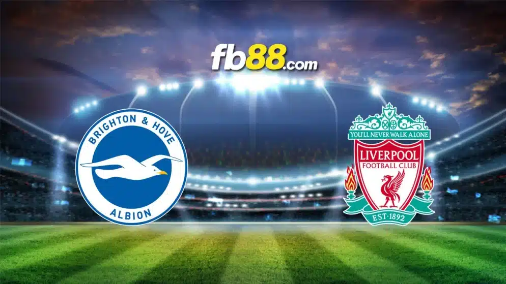 Soi kèo Brighton vs Liverpool, 02h30 ngày 31/10/2024